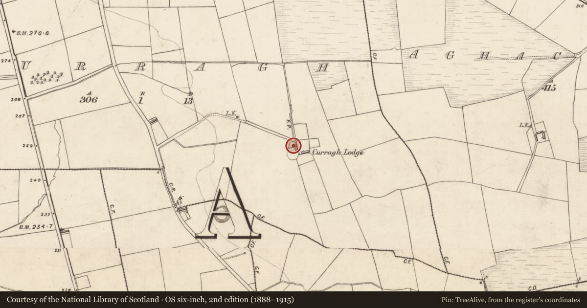 Ordnance Survey six-inch map, 2nd edition (1888–1915) covering the location of Souterrain, Curragh, County Kerry, with a pin at the register's coordinates