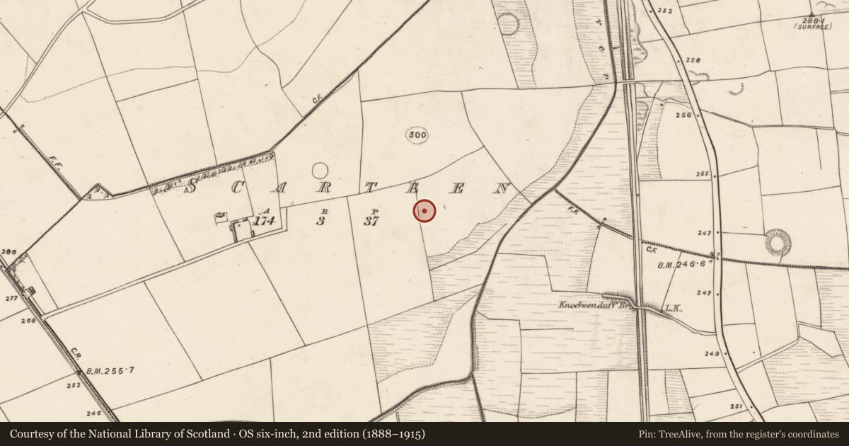 Ordnance Survey six-inch map, 2nd edition (1888–1915) covering the location of Ringfort - rath, Scarteen, County Kerry, with a pin at the register's coordinates