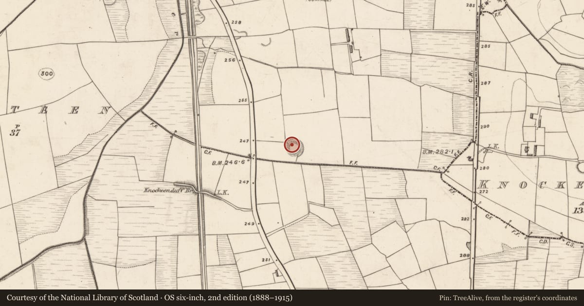 Ordnance Survey six-inch map, 2nd edition (1888–1915) covering the location of Ringfort - rath, Gortnacarriga, County Kerry, with a pin at the register's coordinates