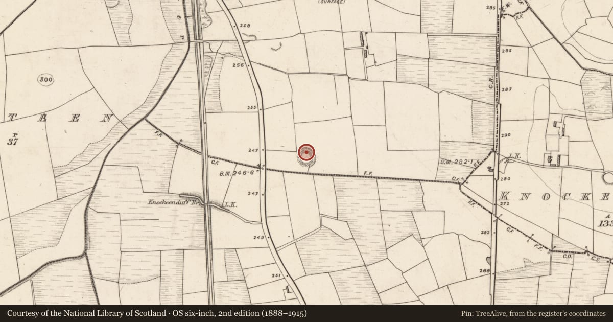 Ordnance Survey six-inch map, 2nd edition (1888–1915) covering the location of Hut site, Gortnacarriga, County Kerry, with a pin at the register's coordinates