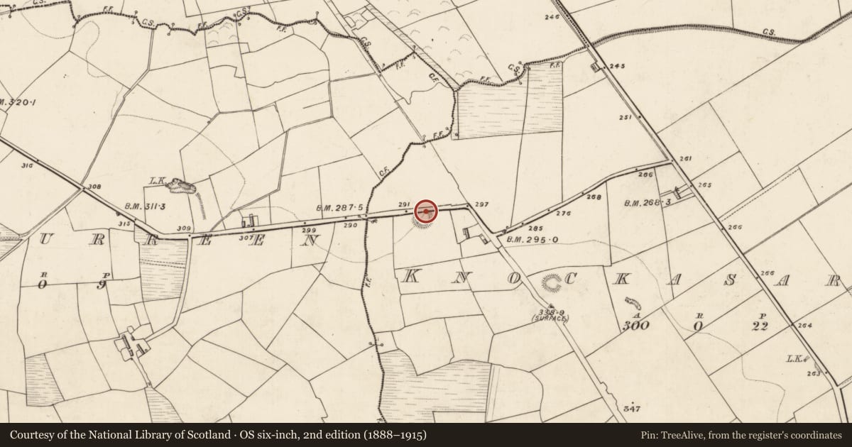 Ordnance Survey six-inch map, 2nd edition (1888–1915) covering the location of Souterrain, Knockasarnet, County Kerry, with a pin at the register's coordinates
