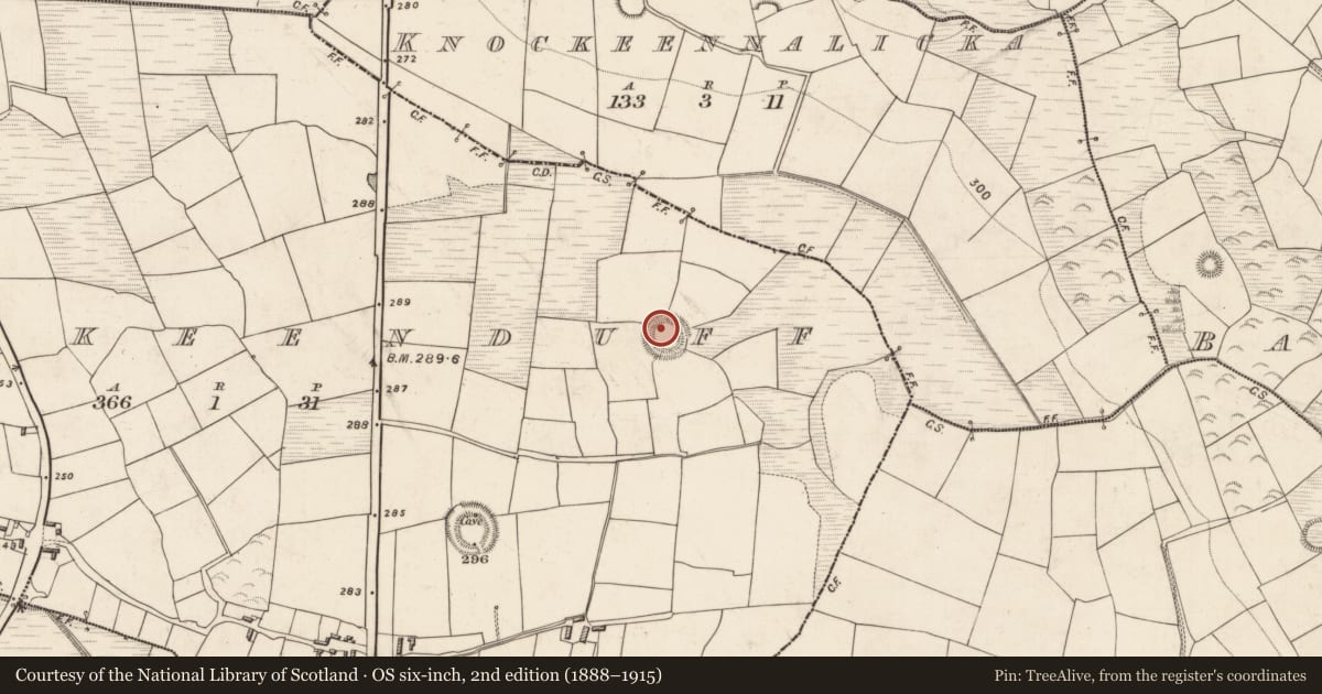 Ordnance Survey six-inch map, 2nd edition (1888–1915) covering the location of Ringfort - rath, Knockeenduff, County Kerry, with a pin at the register's coordinates