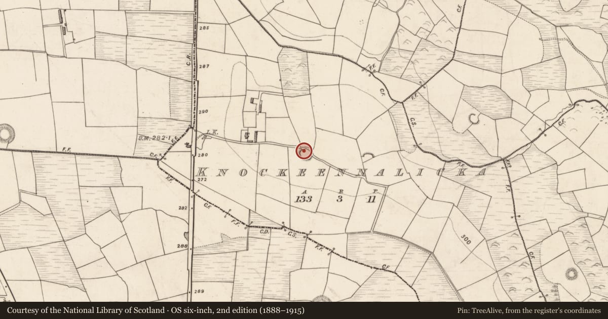 Ordnance Survey six-inch map, 2nd edition (1888–1915) covering the location of Ringfort - rath, Knockeennalicka, County Kerry, with a pin at the register's coordinates
