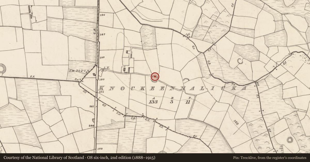 Ordnance Survey six-inch map, 2nd edition (1888–1915) covering the location of Souterrain, Knockeennalicka, County Kerry, with a pin at the register's coordinates