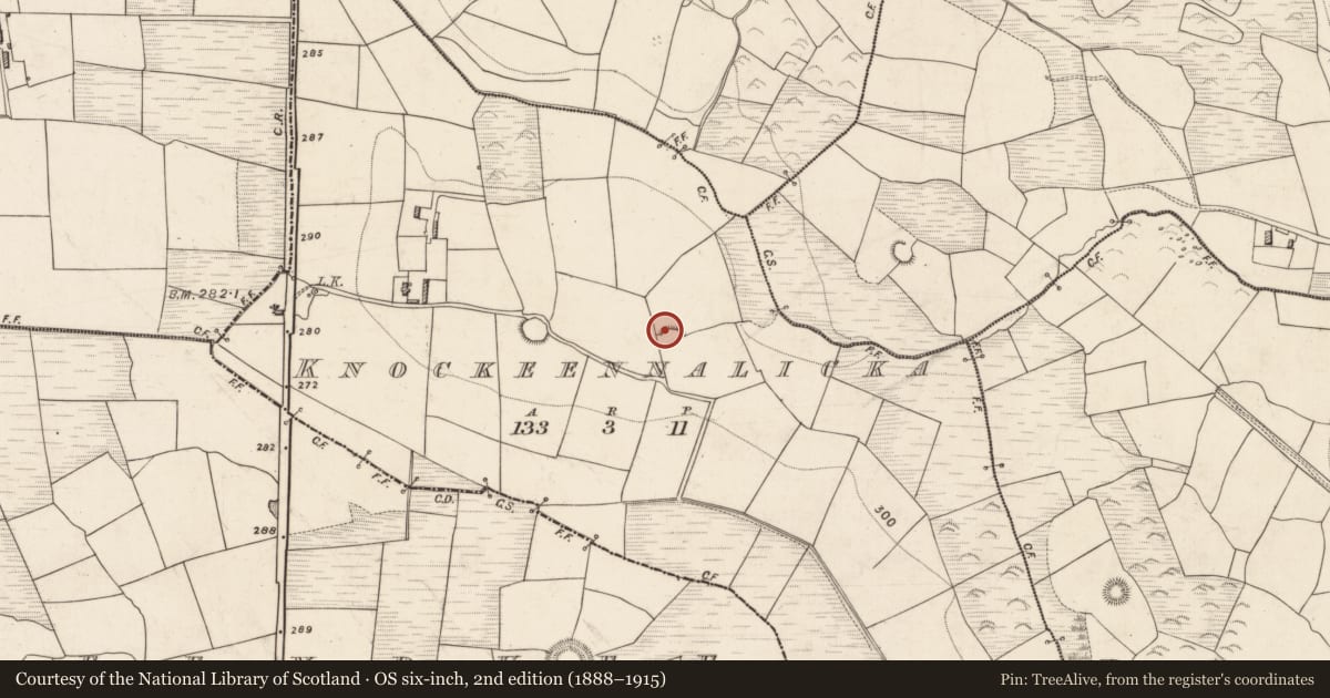 Ordnance Survey six-inch map, 2nd edition (1888–1915) covering the location of Ringfort - rath, Knockeennalicka, County Kerry, with a pin at the register's coordinates