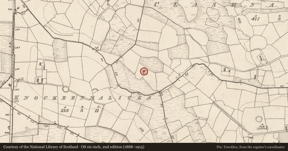 Ordnance Survey six-inch map, 2nd edition (1888–1915) covering the location of Ringfort - rath, Clashnagarrane, County Kerry, with a pin at the register's coordinates