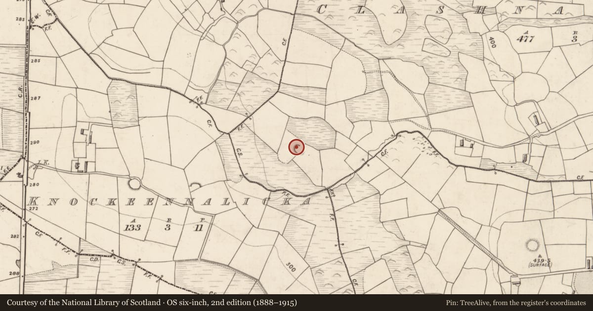 Ordnance Survey six-inch map, 2nd edition (1888–1915) covering the location of Souterrain, Clashnagarrane, County Kerry, with a pin at the register's coordinates