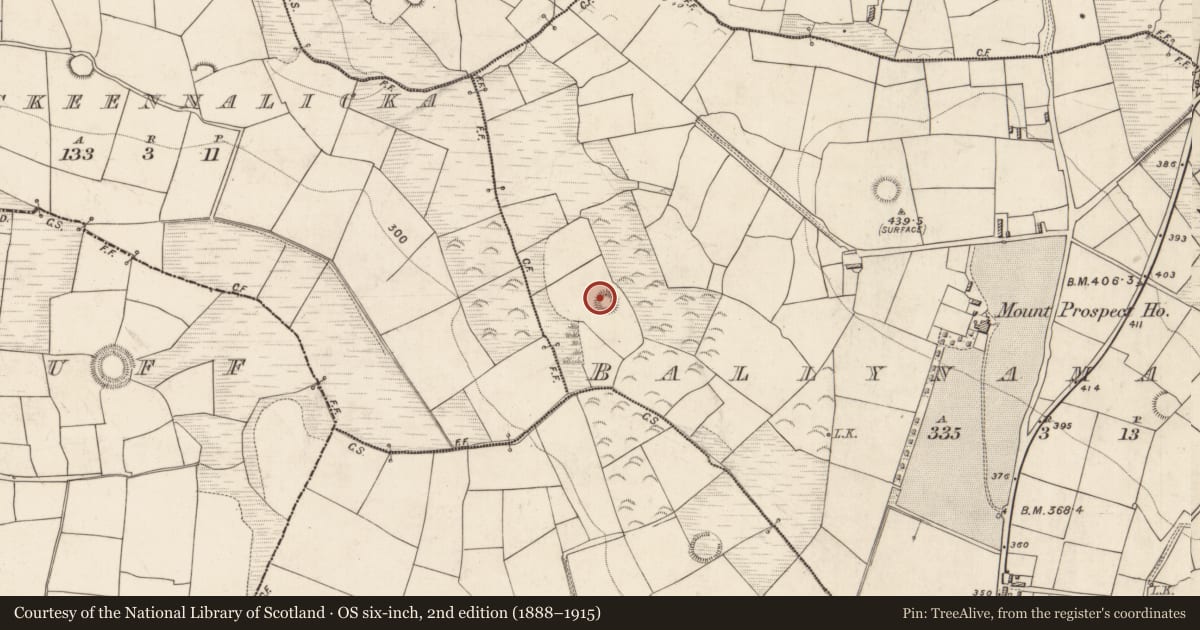 Ordnance Survey six-inch map, 2nd edition (1888–1915) covering the location of Ringfort - rath, Ballynamaunagh, County Kerry, with a pin at the register's coordinates