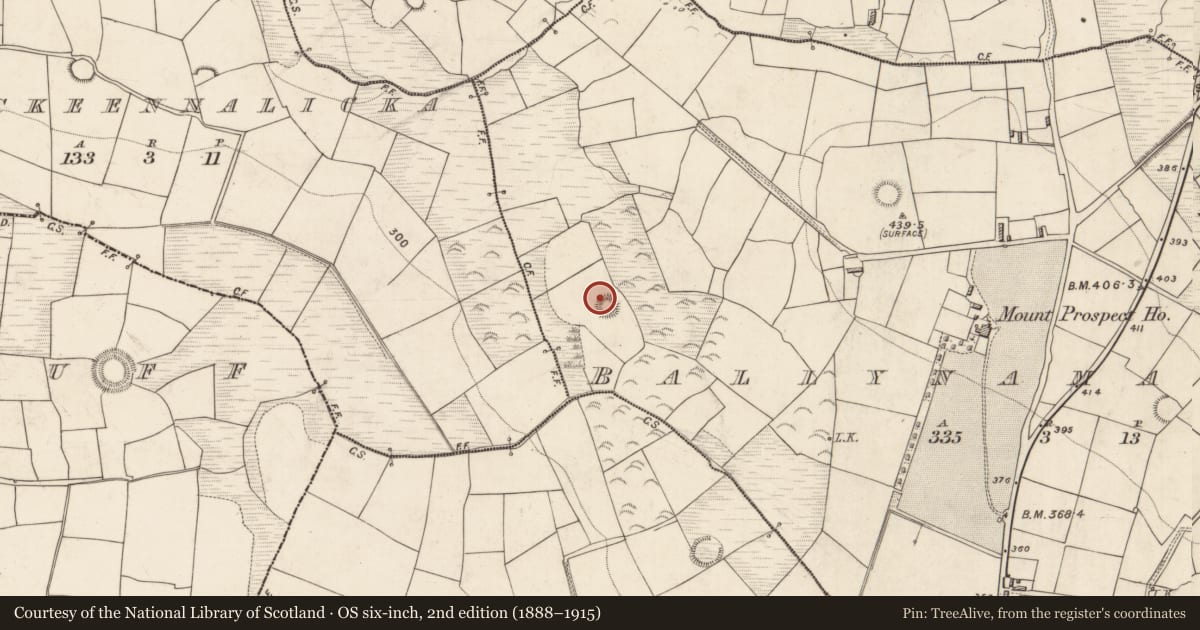 Ordnance Survey six-inch map, 2nd edition (1888–1915) covering the location of Souterrain, Ballynamaunagh, County Kerry, with a pin at the register's coordinates
