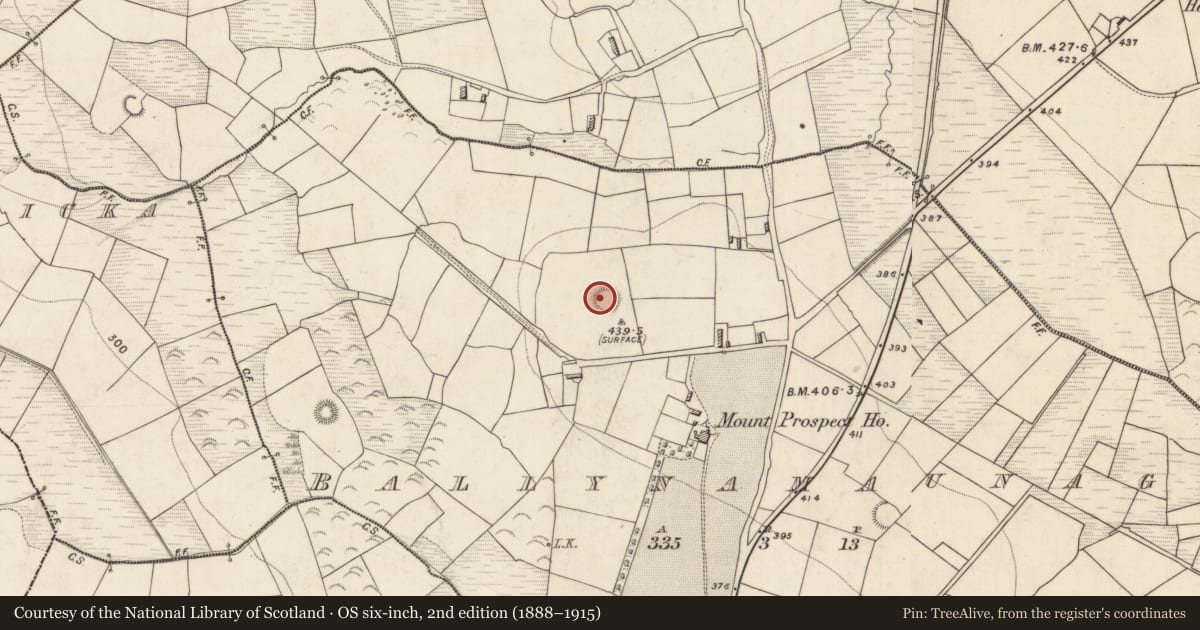 Ordnance Survey six-inch map, 2nd edition (1888–1915) covering the location of Ringfort - rath, Ballynamaunagh, County Kerry, with a pin at the register's coordinates