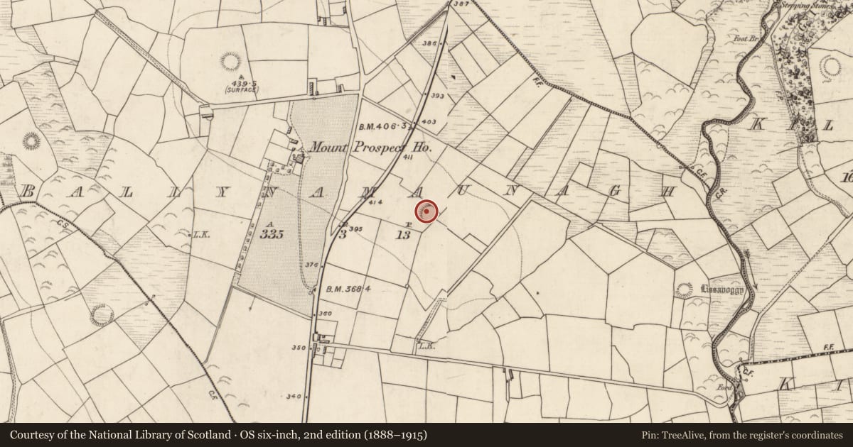 Ordnance Survey six-inch map, 2nd edition (1888–1915) covering the location of Barrow - unclassified, Ballynamaunagh, County Kerry, with a pin at the register's coordinates