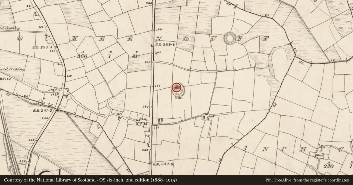 Ordnance Survey six-inch map, 2nd edition (1888–1915) covering the location of Ringfort - rath, Knockeenduff, County Kerry, with a pin at the register's coordinates