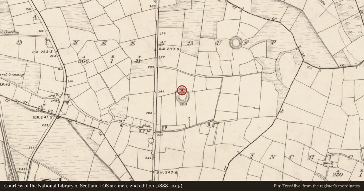 Ordnance Survey six-inch map, 2nd edition (1888–1915) covering the location of Souterrain, Knockeenduff, County Kerry, with a pin at the register's coordinates