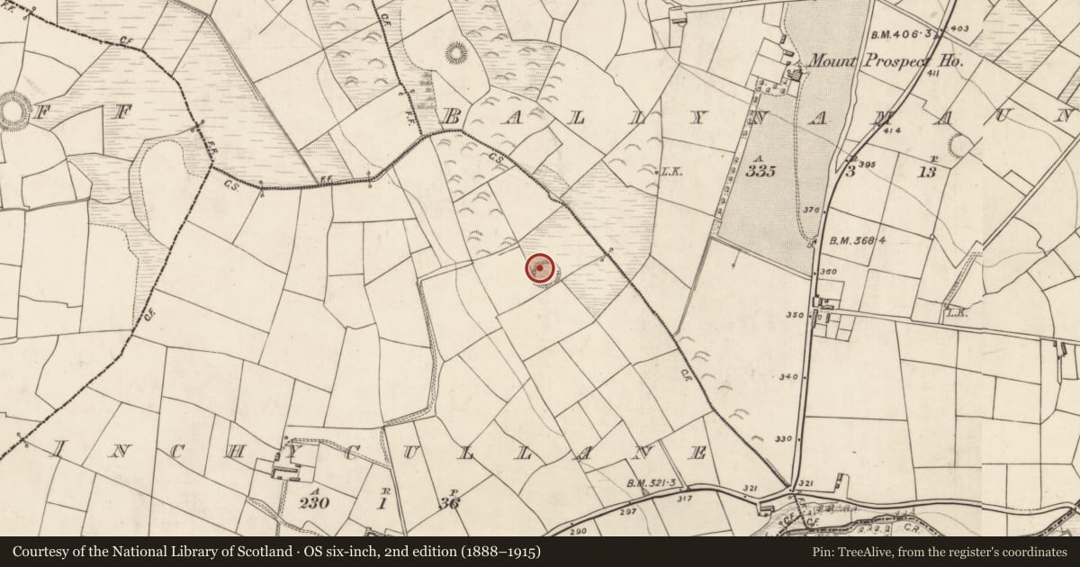 Ordnance Survey six-inch map, 2nd edition (1888–1915) covering the location of Ringfort - rath, Inchycullane, County Kerry, with a pin at the register's coordinates