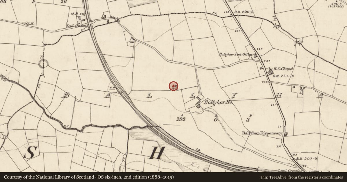 Ordnance Survey six-inch map, 2nd edition (1888–1915) covering the location of Ringfort - rath, Ballyhar, County Kerry, with a pin at the register's coordinates