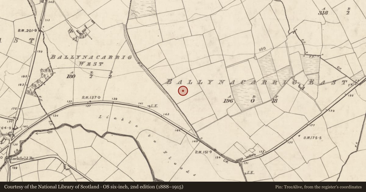 Ordnance Survey six-inch map, 2nd edition (1888–1915) covering the location of Stone row, Ballynacarrig East, County Kerry, with a pin at the register's coordinates