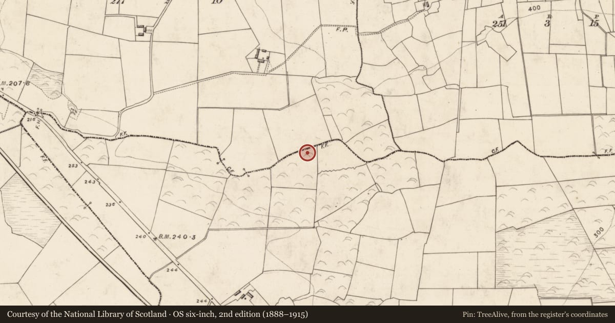 Ordnance Survey six-inch map, 2nd edition (1888–1915) covering the location of Fulacht fia, Crohane, County Kerry, with a pin at the register's coordinates