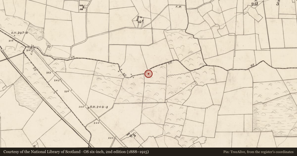 Ordnance Survey six-inch map, 2nd edition (1888–1915) covering the location of Fulacht fia, Crohane, County Kerry, with a pin at the register's coordinates