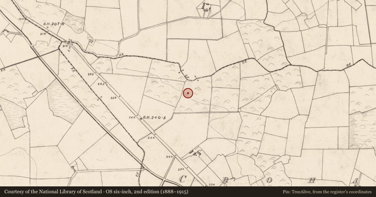 Ordnance Survey six-inch map, 2nd edition (1888–1915) covering the location of Mill - unclassified, Crohane, County Kerry, with a pin at the register's coordinates