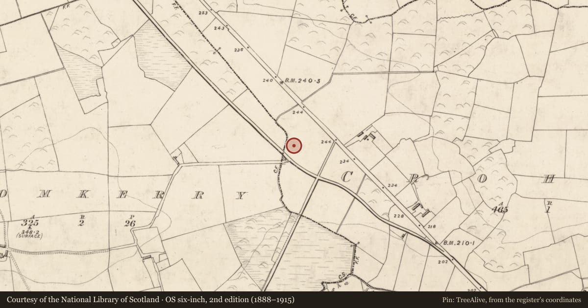Ordnance Survey six-inch map, 2nd edition (1888–1915) covering the location of Fulacht fia, Crohane, County Kerry, with a pin at the register's coordinates