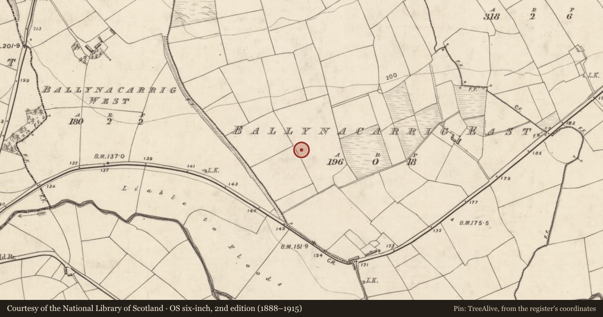 Ordnance Survey six-inch map, 2nd edition (1888–1915) covering the location of Standing stone, Ballynacarrig East, County Kerry, with a pin at the register's coordinates