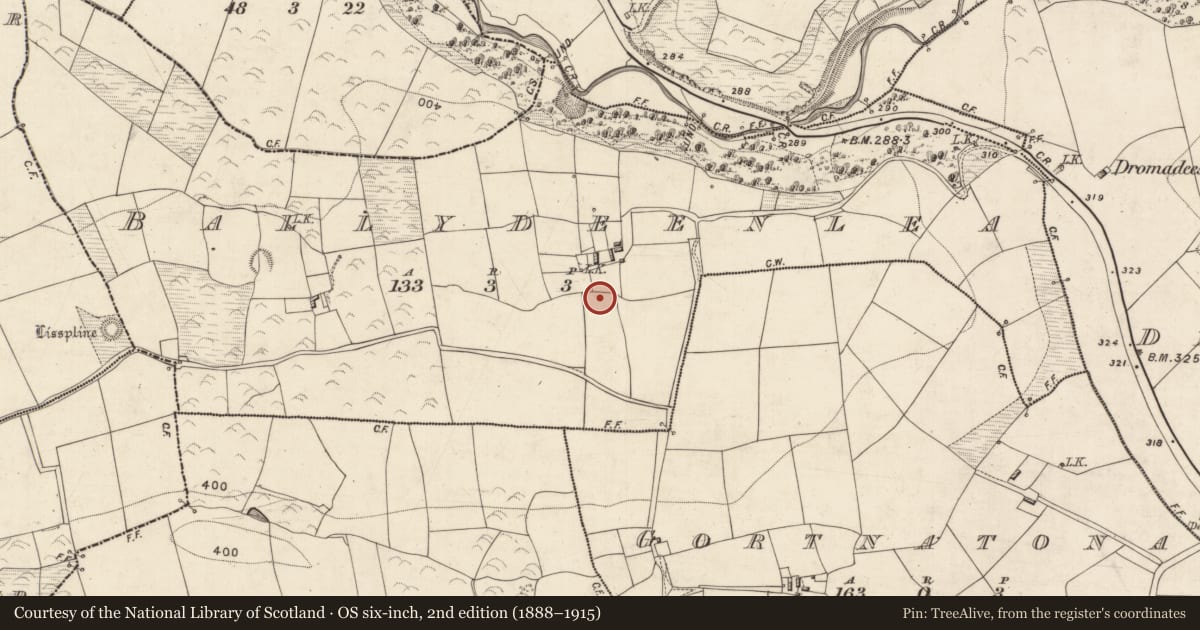 Ordnance Survey six-inch map, 2nd edition (1888–1915) covering the location of Standing stone, Ballydeenlea, County Kerry, with a pin at the register's coordinates