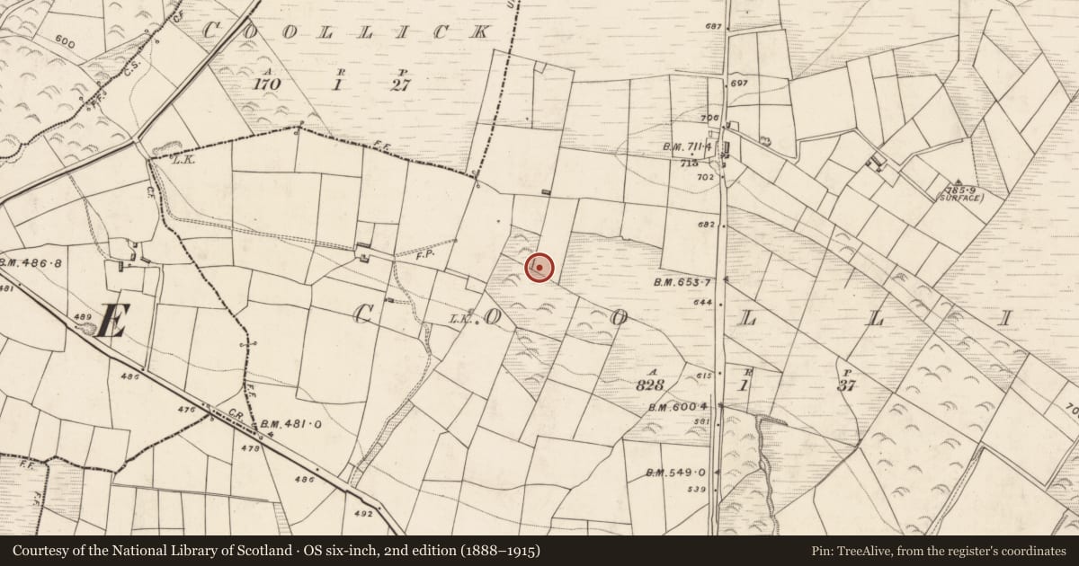 Ordnance Survey six-inch map, 2nd edition (1888–1915) covering the location of Stone circle - multiple-stone, Coollick (Magunihy By., Kilcummin Par.), County Kerry, with a pin at the register's coordinates