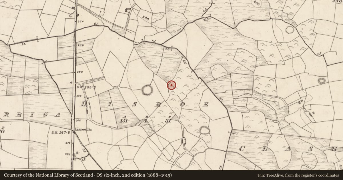 Ordnance Survey six-inch map, 2nd edition (1888–1915) covering the location of Standing stone, Lisroe, County Kerry, with a pin at the register's coordinates