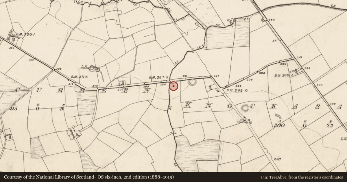 Ordnance Survey six-inch map, 2nd edition (1888–1915) covering the location of Fulacht fia, Knockasarnet, County Kerry, with a pin at the register's coordinates