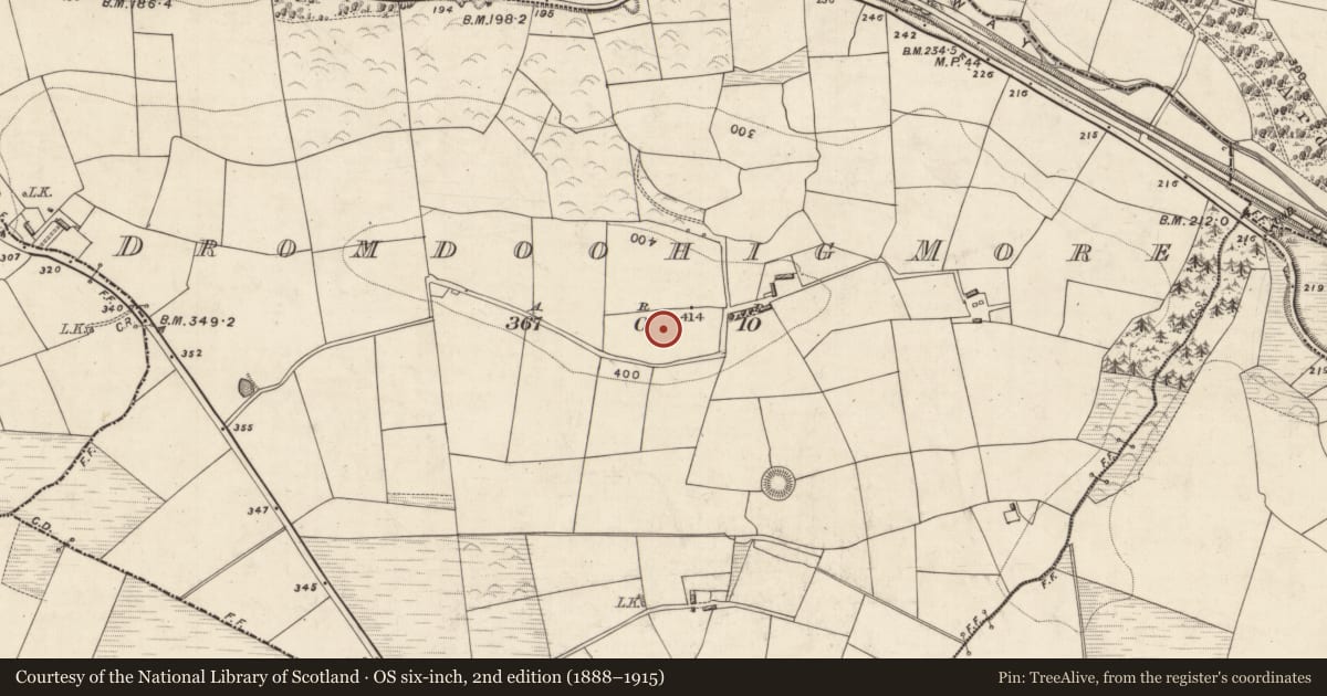 Ordnance Survey six-inch map, 2nd edition (1888–1915) covering the location of Standing stone, Dromdoohig More, County Kerry, with a pin at the register's coordinates