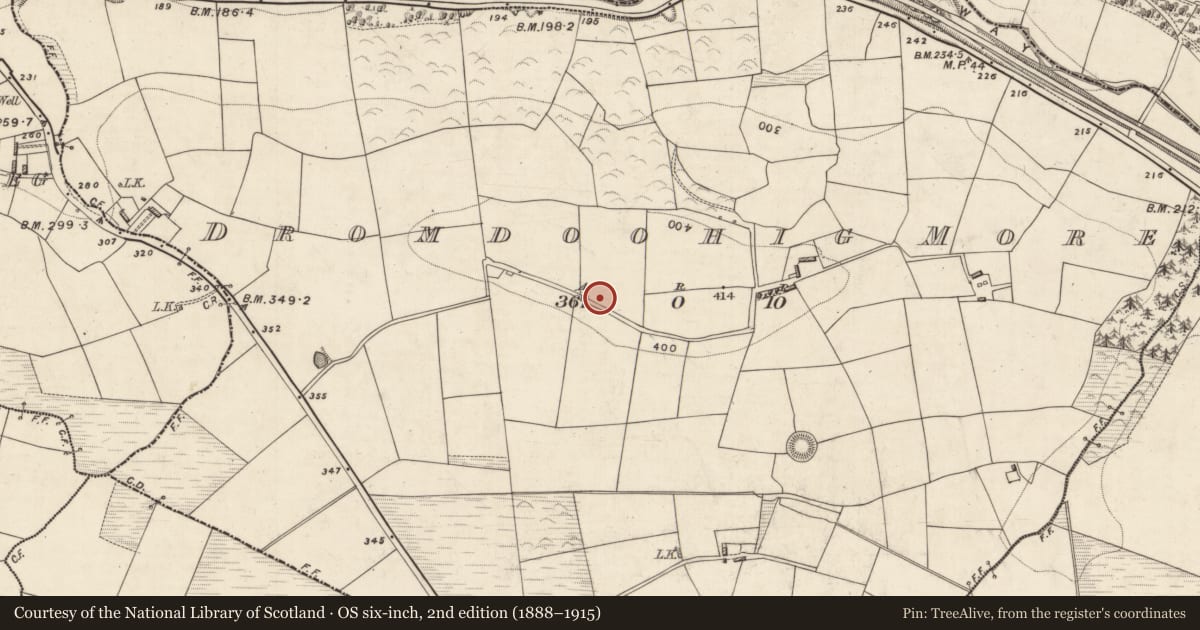 Ordnance Survey six-inch map, 2nd edition (1888–1915) covering the location of Cross-inscribed stone, Dromdoohig More, County Kerry, with a pin at the register's coordinates