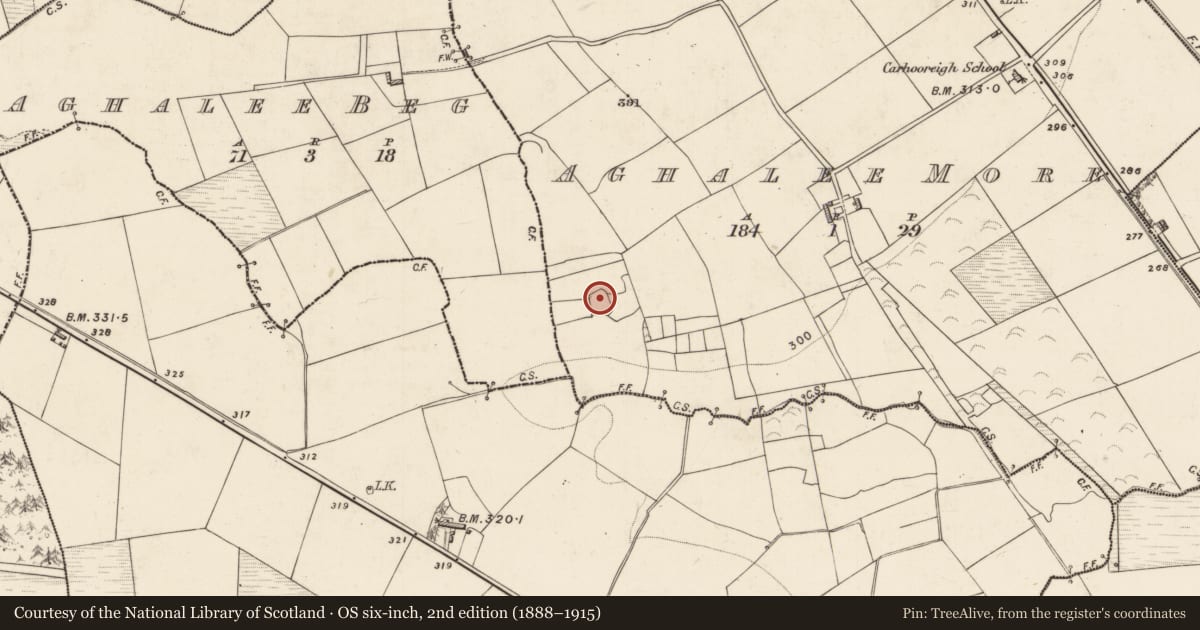 Ordnance Survey six-inch map, 2nd edition (1888–1915) covering the location of Ringfort - rath, Aghalee More, County Kerry, with a pin at the register's coordinates