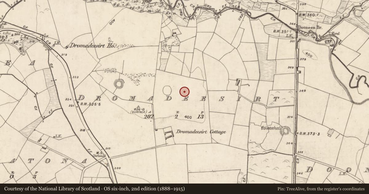 Ordnance Survey six-inch map, 2nd edition (1888–1915) covering the location of Barrow - mound barrow, Dromadeesirt, County Kerry, with a pin at the register's coordinates