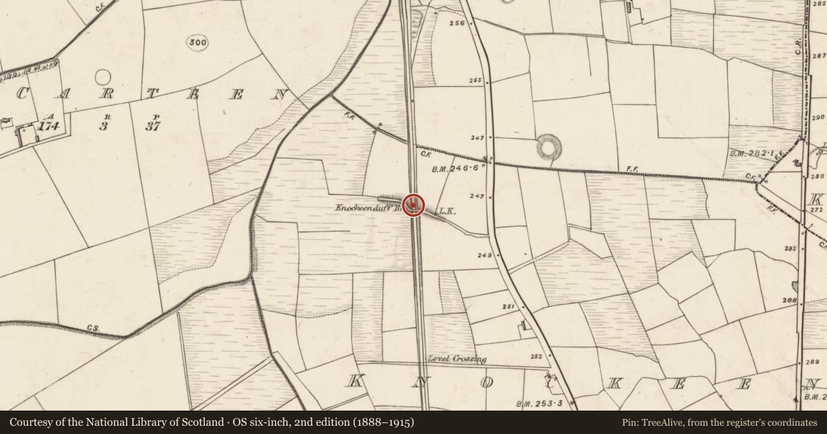 Ordnance Survey six-inch map, 2nd edition (1888–1915) covering the location of Bridge, Knockeenduff, County Kerry, with a pin at the register's coordinates