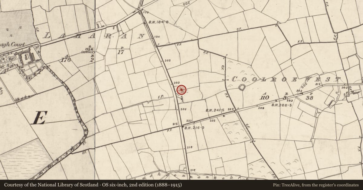Ordnance Survey six-inch map, 2nd edition (1888–1915) covering the location of Kiln - lime, Laharan, County Kerry, with a pin at the register's coordinates