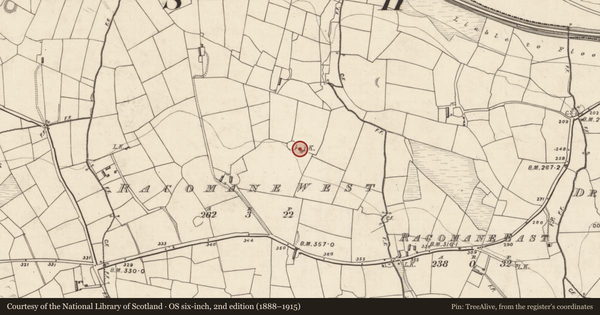 Ordnance Survey six-inch map, 2nd edition (1888–1915) covering the location of Kiln - lime, Racomane West, County Kerry, with a pin at the register's coordinates