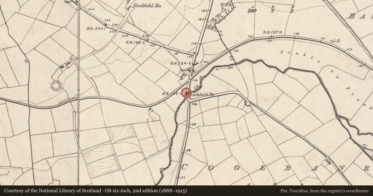 Ordnance Survey six-inch map, 2nd edition (1888–1915) covering the location of Bridge, Rockfield East, County Kerry, with a pin at the register's coordinates
