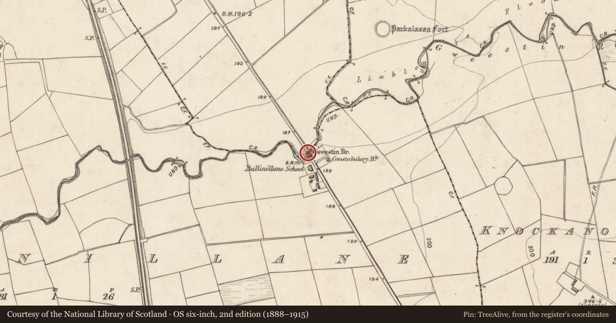 Ordnance Survey six-inch map, 2nd edition (1888–1915) covering the location of Bridge, Ballinillane, Lisheennacannina, County Kerry, with a pin at the register's coordinates