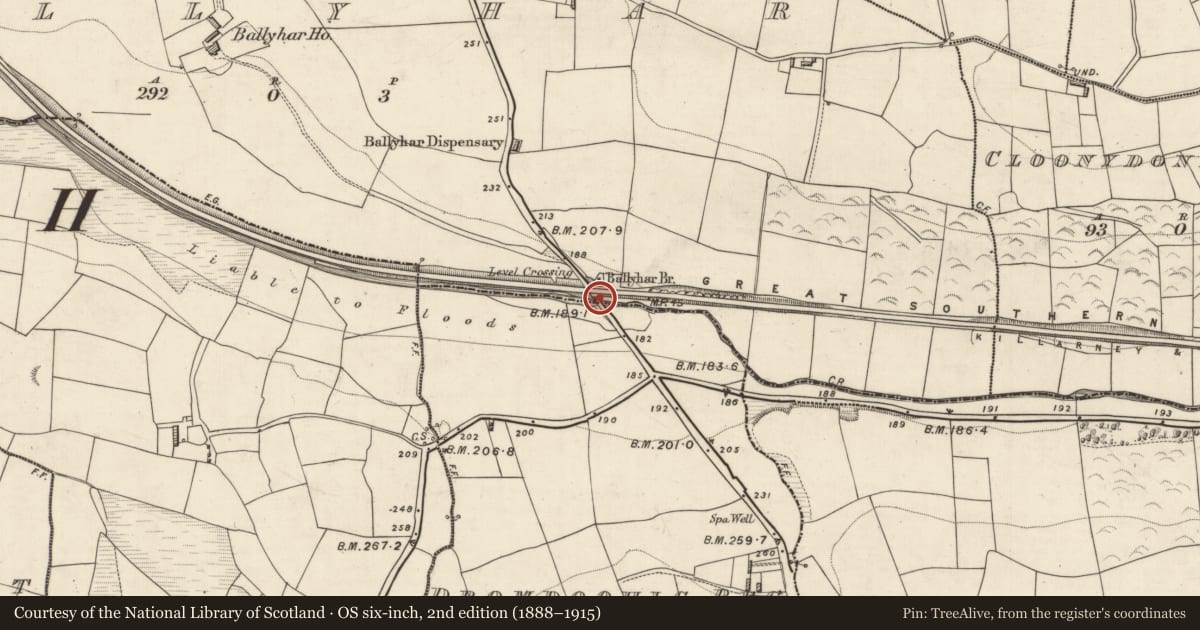 Ordnance Survey six-inch map, 2nd edition (1888–1915) covering the location of Bridge, Ballyhar, Dromdoohig Beg, County Kerry, with a pin at the register's coordinates