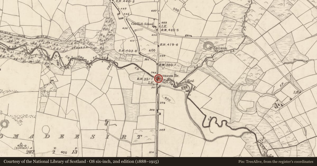Ordnance Survey six-inch map, 2nd edition (1888–1915) covering the location of Bridge, County Kerry, with a pin at the register's coordinates