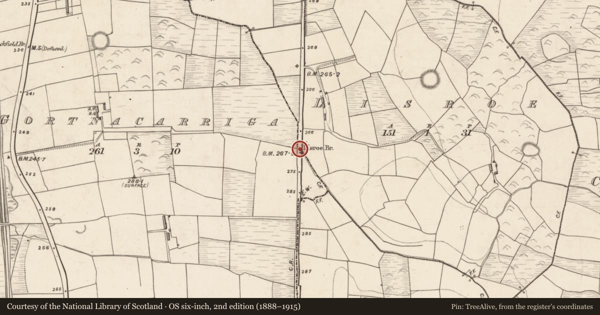 Ordnance Survey six-inch map, 2nd edition (1888–1915) covering the location of Bridge, Gortnacarriga, Lisroe, County Kerry, with a pin at the register's coordinates