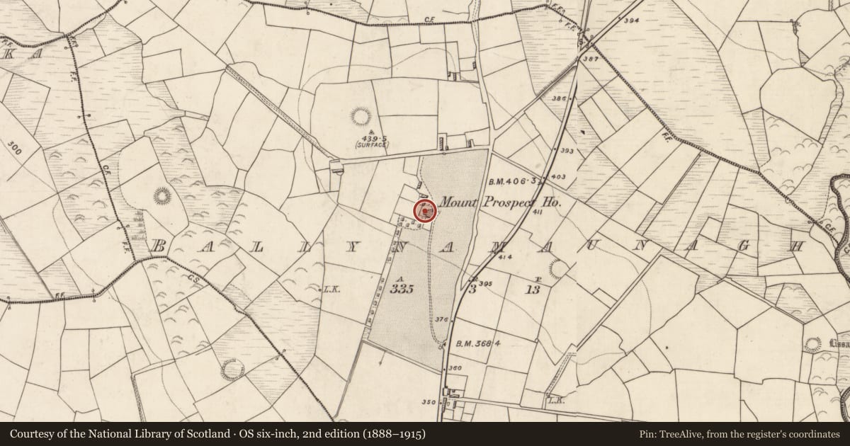 Ordnance Survey six-inch map, 2nd edition (1888–1915) covering the location of Country house, Ballynamaunagh, County Kerry, with a pin at the register's coordinates