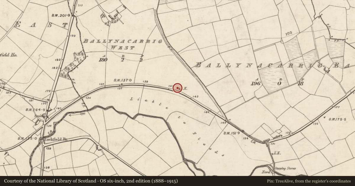 Ordnance Survey six-inch map, 2nd edition (1888–1915) covering the location of Kiln - lime, Ballynacarrig West, County Kerry, with a pin at the register's coordinates