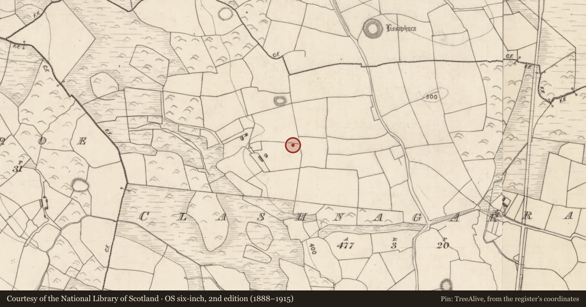 Ordnance Survey six-inch map, 2nd edition (1888–1915) covering the location of Kiln - lime, Clashnagarrane, County Kerry, with a pin at the register's coordinates