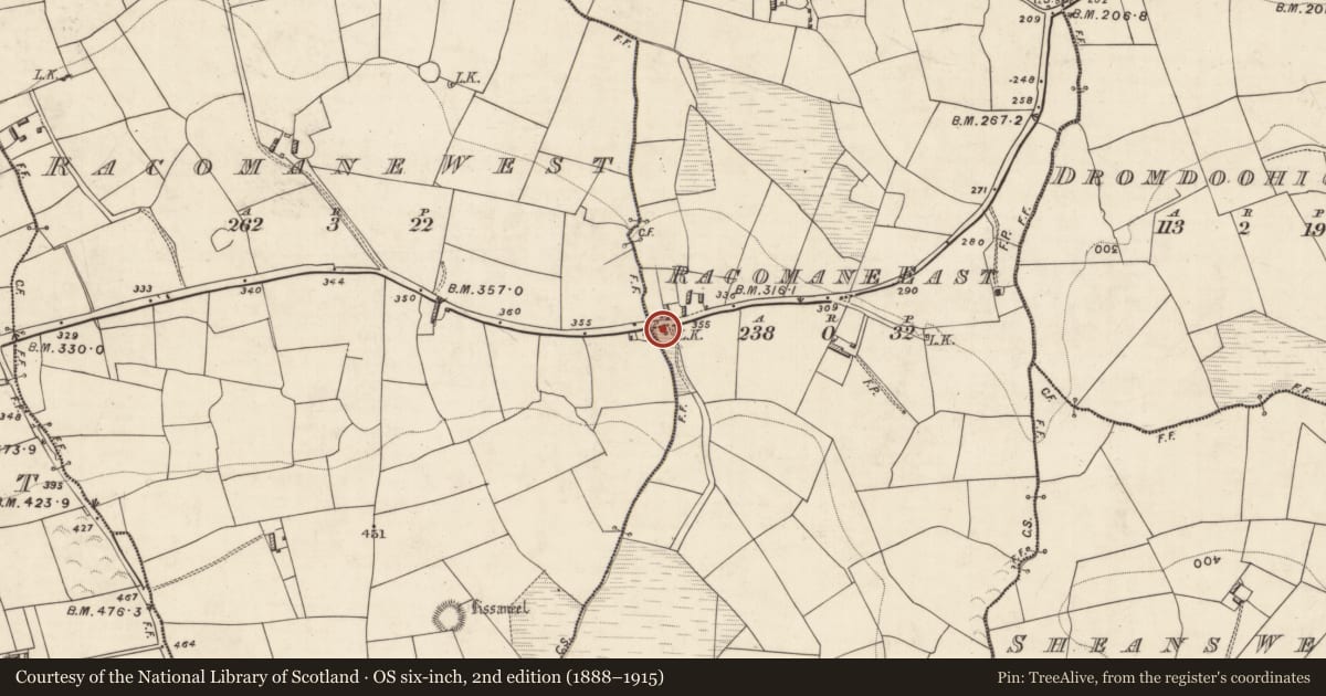 Ordnance Survey six-inch map, 2nd edition (1888–1915) covering the location of Kiln - lime, Racomane East, County Kerry, with a pin at the register's coordinates