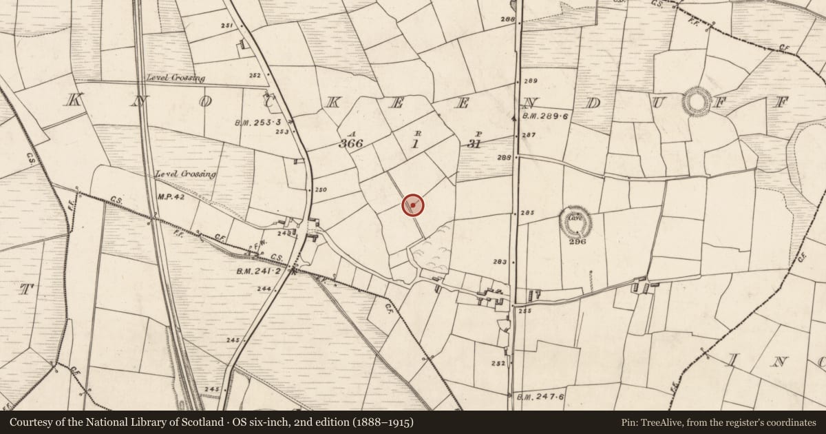 Ordnance Survey six-inch map, 2nd edition (1888–1915) covering the location of Ringfort - rath, Knockeenduff, County Kerry, with a pin at the register's coordinates
