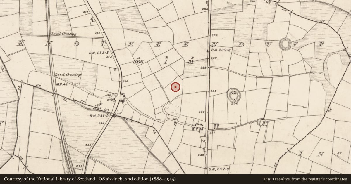 Ordnance Survey six-inch map, 2nd edition (1888–1915) covering the location of Fulacht fia, Knockeenduff, County Kerry, with a pin at the register's coordinates