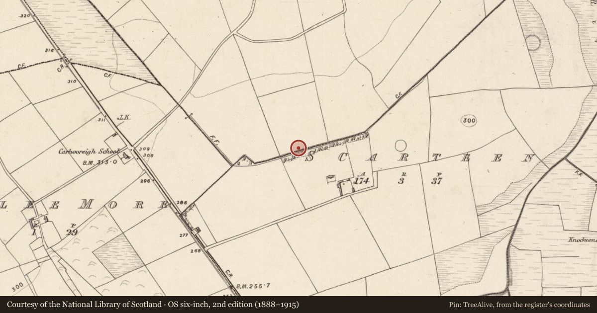 Ordnance Survey six-inch map, 2nd edition (1888–1915) covering the location of Burnt spread, Scarteen, County Kerry, with a pin at the register's coordinates