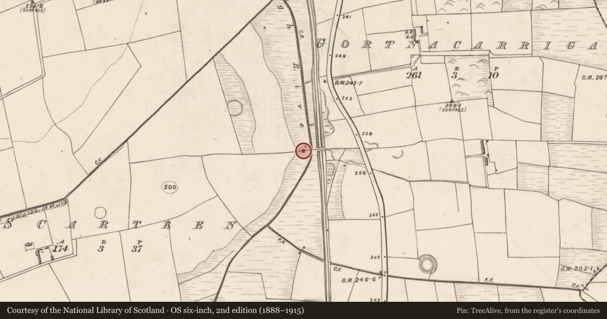 Ordnance Survey six-inch map, 2nd edition (1888–1915) covering the location of Ritual site - holy well, Scarteen, County Kerry, with a pin at the register's coordinates