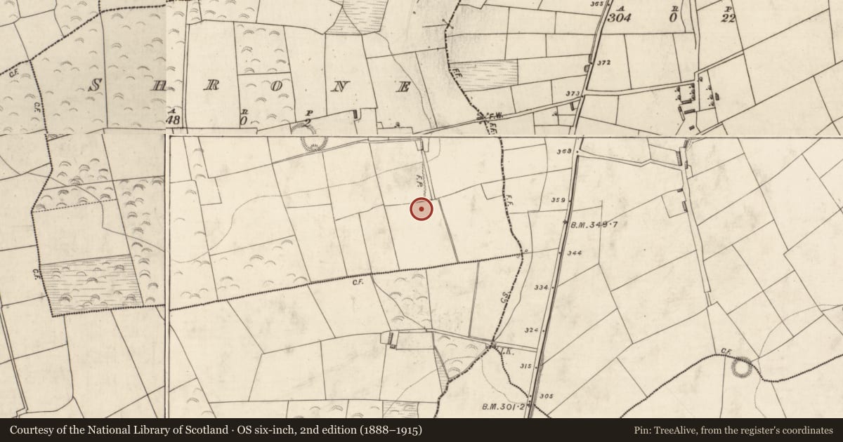 Ordnance Survey six-inch map, 2nd edition (1888–1915) covering the location of Fulacht fia, Shrone, County Kerry, with a pin at the register's coordinates